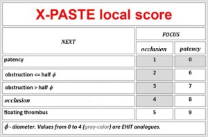 X-PASTE local score